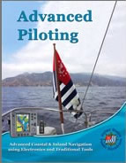 Advanced Piloting Manual Cover