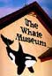 Whale Museum icon