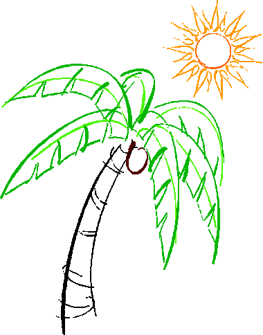 palm tree & sun